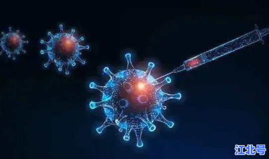 今年新冠病毒还会封城吗  冠形病毒