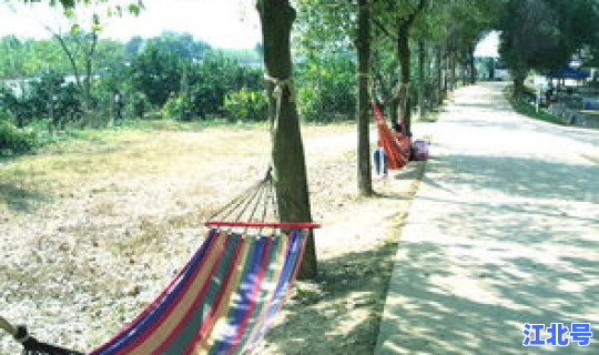 广州可以采摘蔬菜的农家乐(广州周边农家乐哪里好玩)