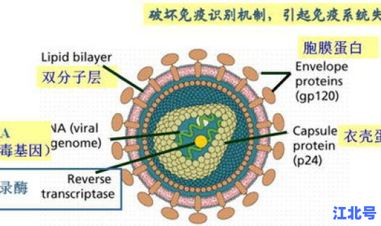 核酸检测 常态化，病毒核酸检测