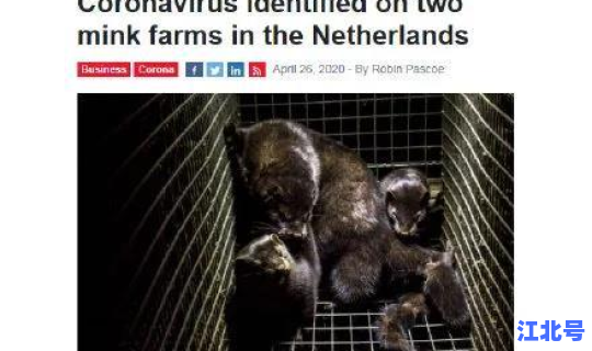 新冠病毒真的要与人类长期共存吗(新冠病毒彻底消失了吗)