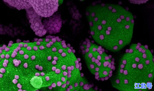 新冠病毒现在哪里比较严重了(目前新冠严重吗)