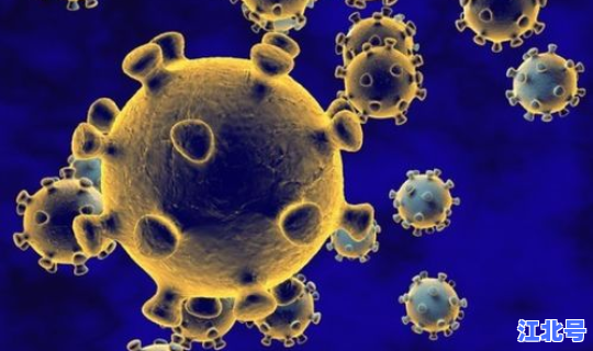 新疆新增2例无症状感染者源头(第二例寨卡病毒感染者)