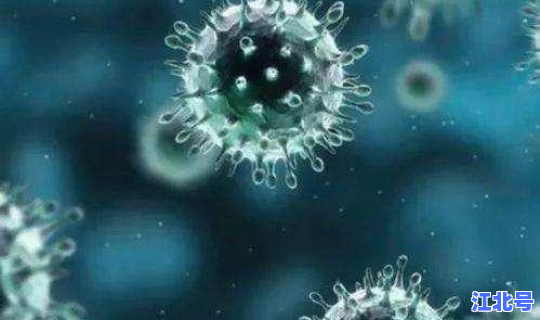 新冠病毒在哪里爆发的(新冠病毒来源于哪里？)