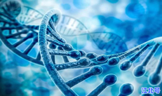 西安核酸检测几天出结果(血液核酸检测是什么)