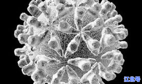 广西出现无症状感染者(艾滋病病毒感染者是指)