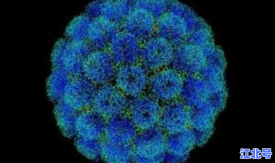 病毒基因检测系统，病毒基因检测是什么