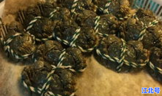 大连大型海鲜市场？大连海鲜有哪些