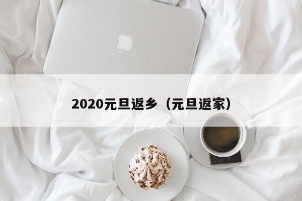 2020元旦返乡（元旦返家）