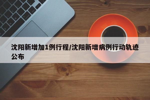 沈阳新增加1例行程/沈阳新增病例行动轨迹公布