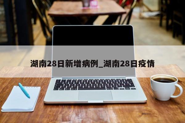 湖南28日新增病例_湖南28日疫情