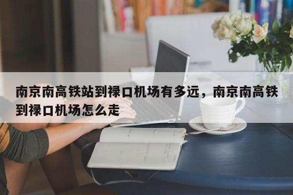 南京南高铁站到禄口机场有多远，南京南高铁到禄口机场怎么走